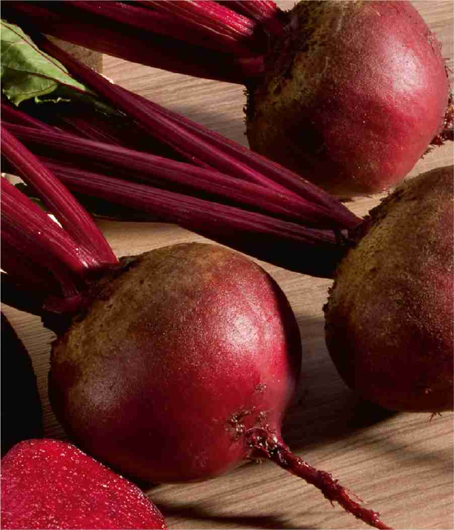 Best Beetroot Seeds Suppliers in Delhi, Beetroot Seed Exporters in India